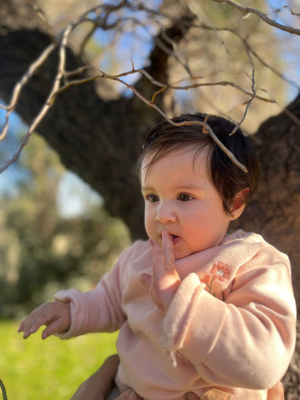 WhatsApp Image 2025-07-20 at 12.21.04(1).jpeg